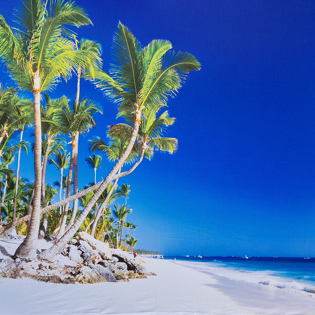 Backdrop Tropical beach - strand thema huren BoothBaas Zwolle