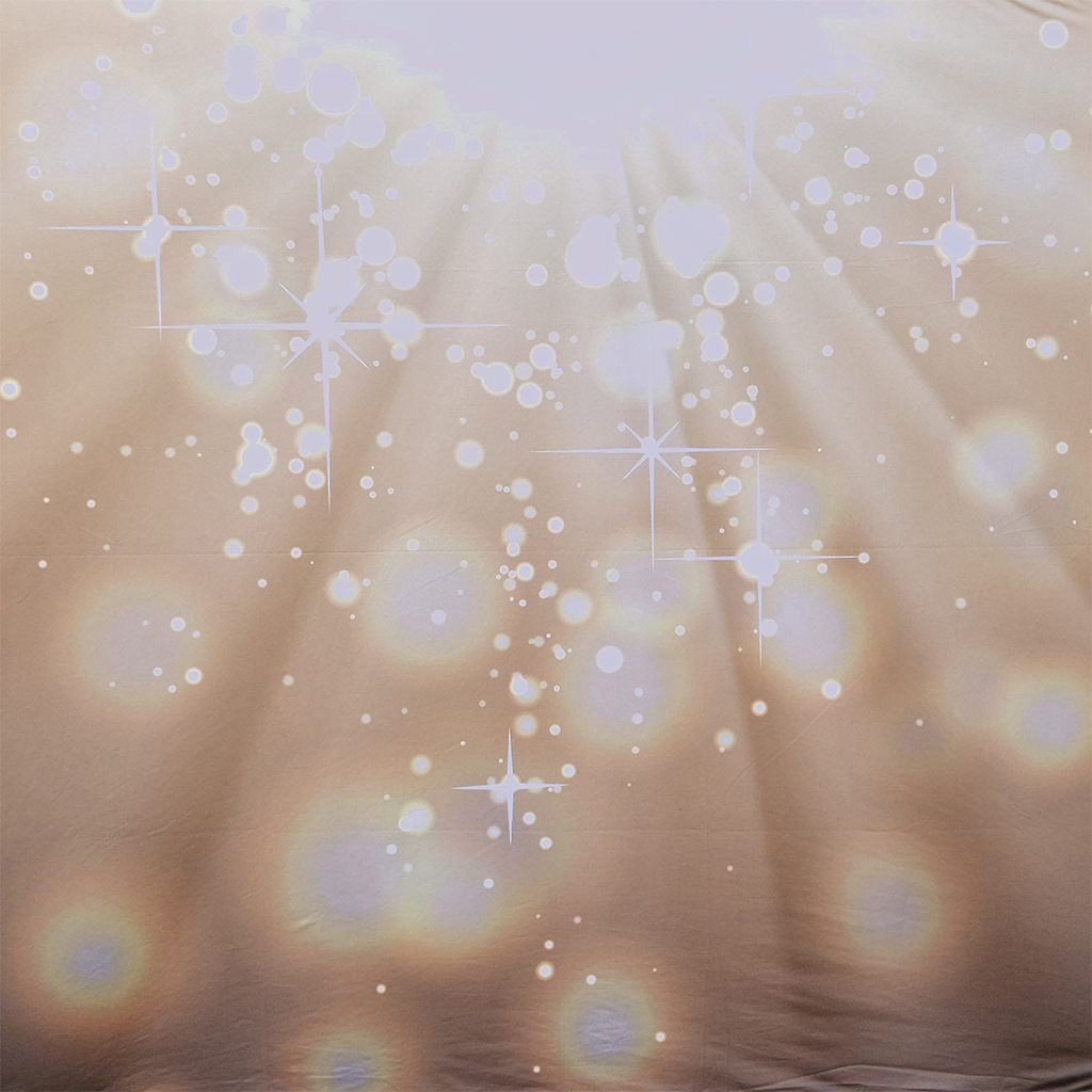 Backdrop champagne bubbels huren BoothBaas Zwolle